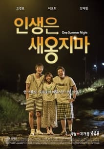 인생은 새옹지마 포스터