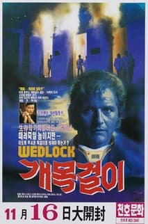 개목걸이 포스터