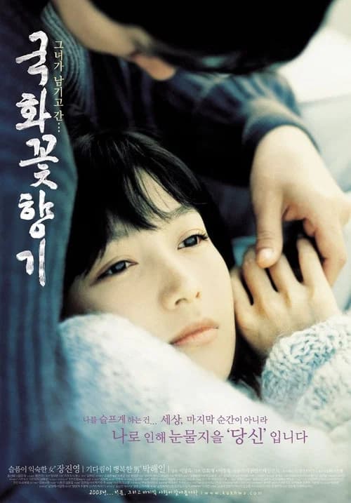 국화꽃 향기 포스터