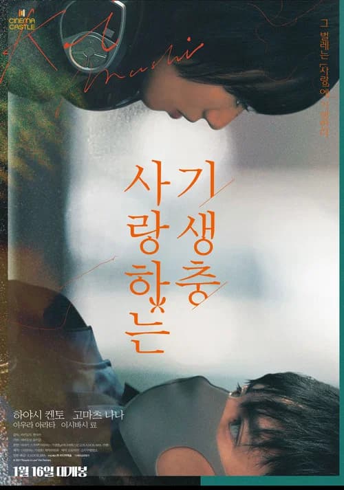 사랑하는 기생충 포스터