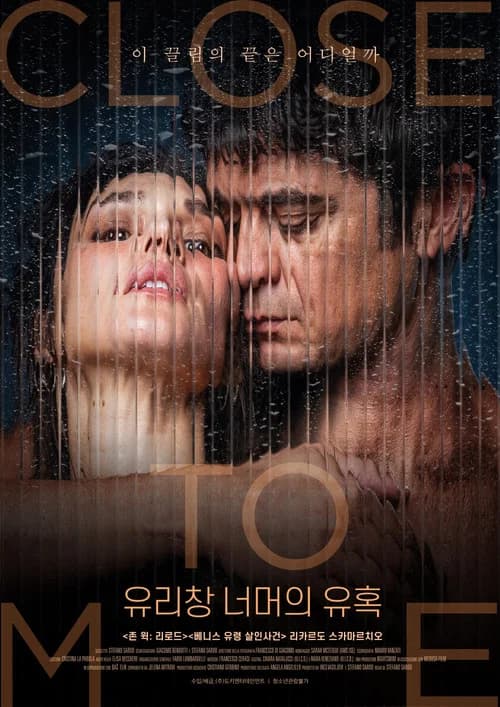 유리창 너머의 유혹 포스터
