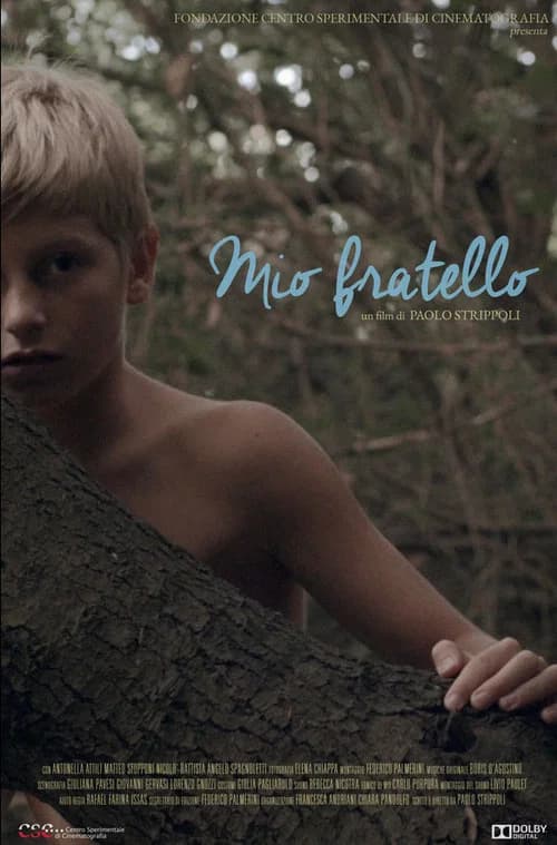 Mio Fratello 포스터