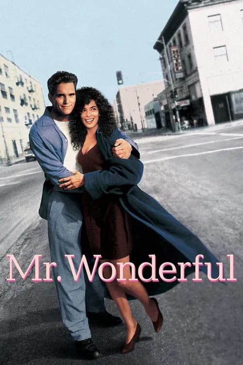 Mr. Wonderful 포스터