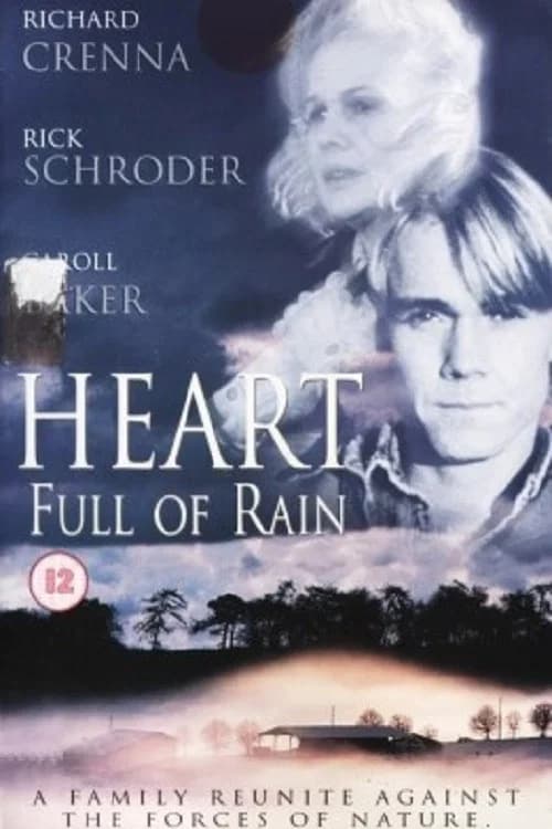 Heart Full of Rain 포스터