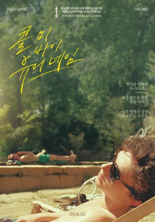 콜 미 바이 유어 네임 포스터