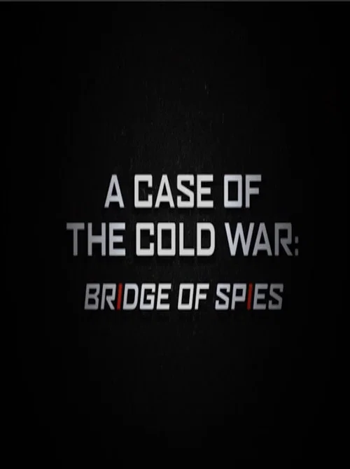 A Case of the Cold War: Bridge of Spies 포스터