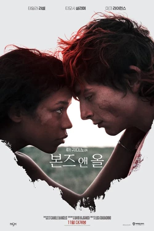 본즈 앤 올 포스터