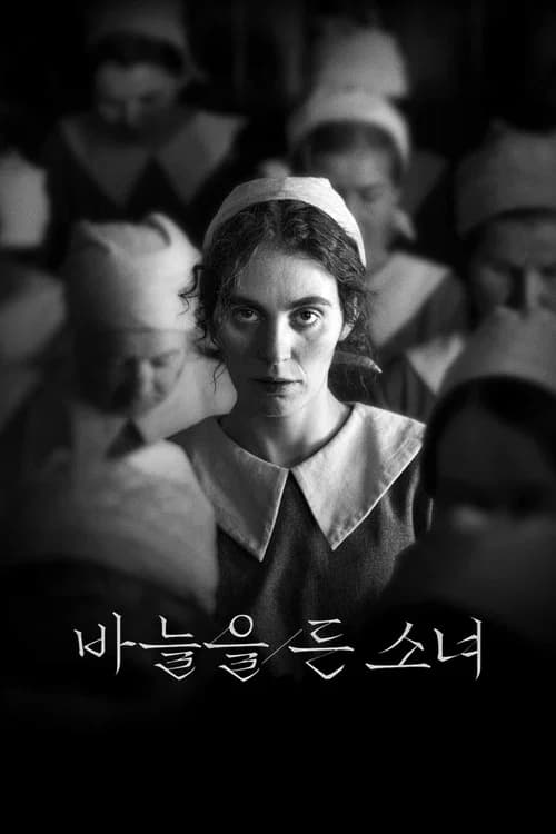 바늘을 든 소녀 포스터