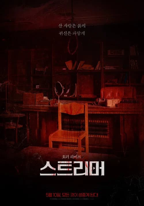 스트리머 포스터