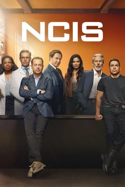 NCIS 포스터